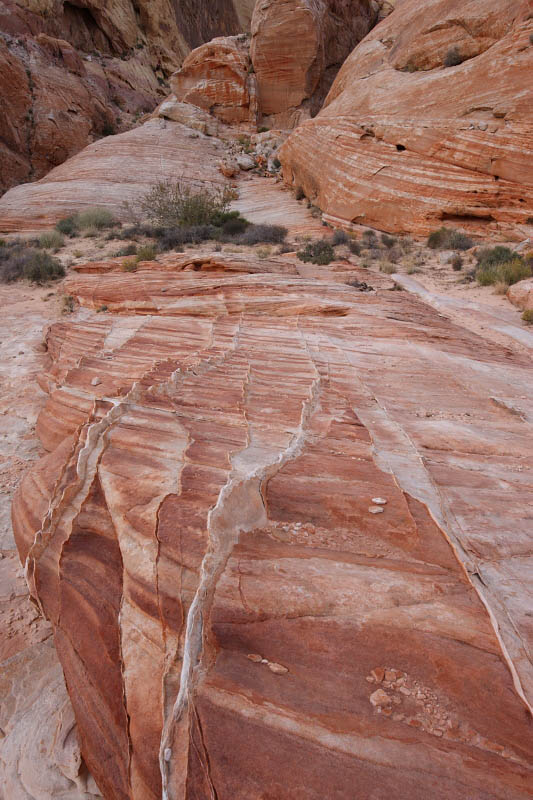 White Domes Trail