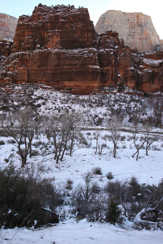 Between Temple of Sinawava and Big Bend