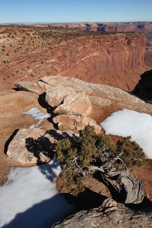 Buck Canyon Overlook