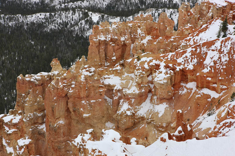 Black Birch Canyon