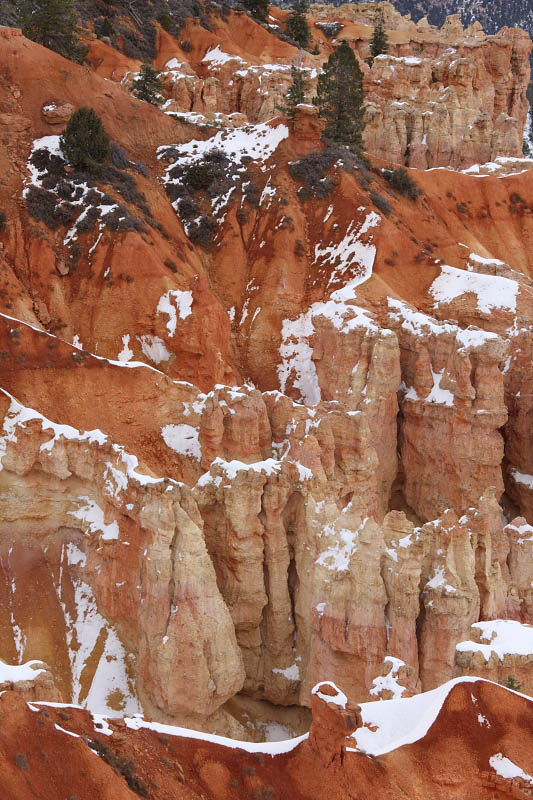 Black Birch Canyon