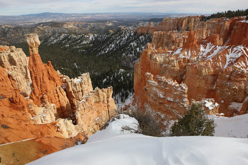 Agua Canyon