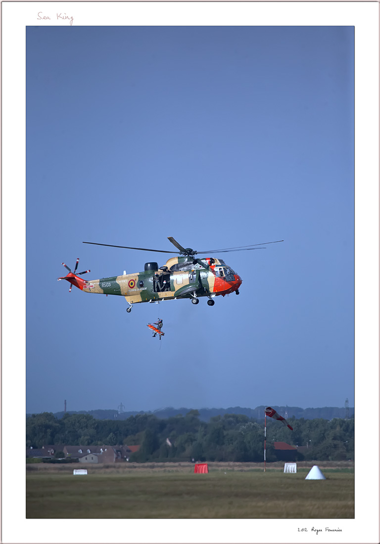 Sea King 