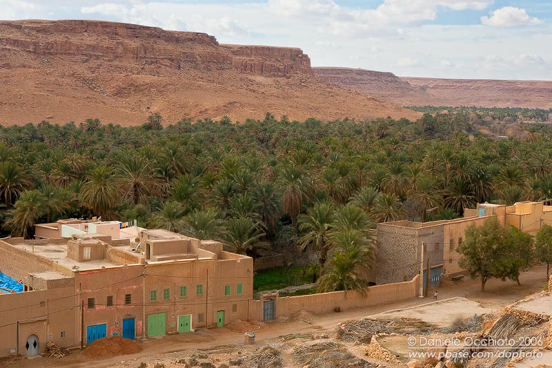 Oasis du Ziz