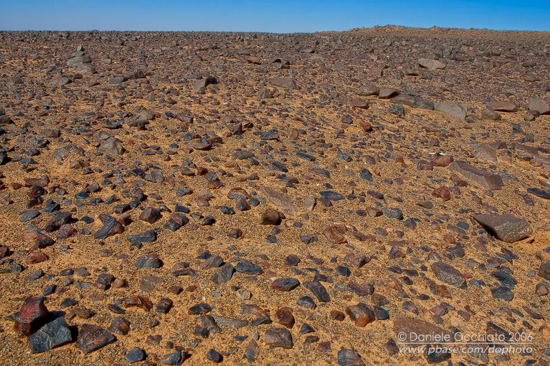 Hammada desert at Merzouga