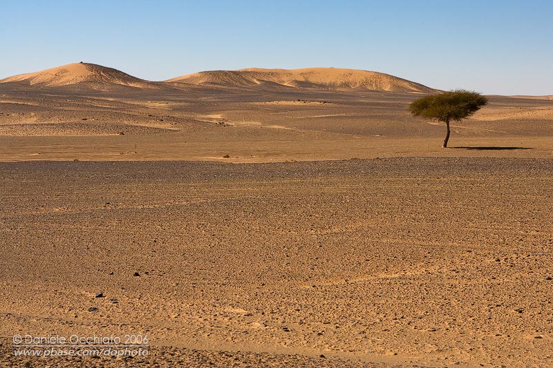 Hammada desert at Merzouga