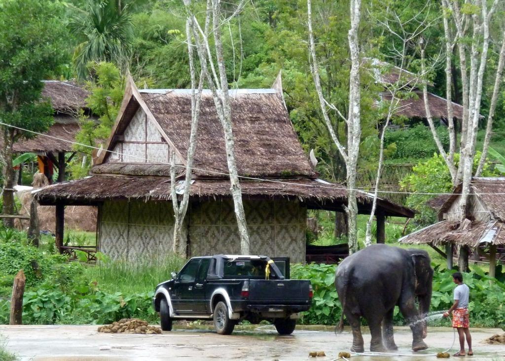 Mahout Giving His Elephant a Bath