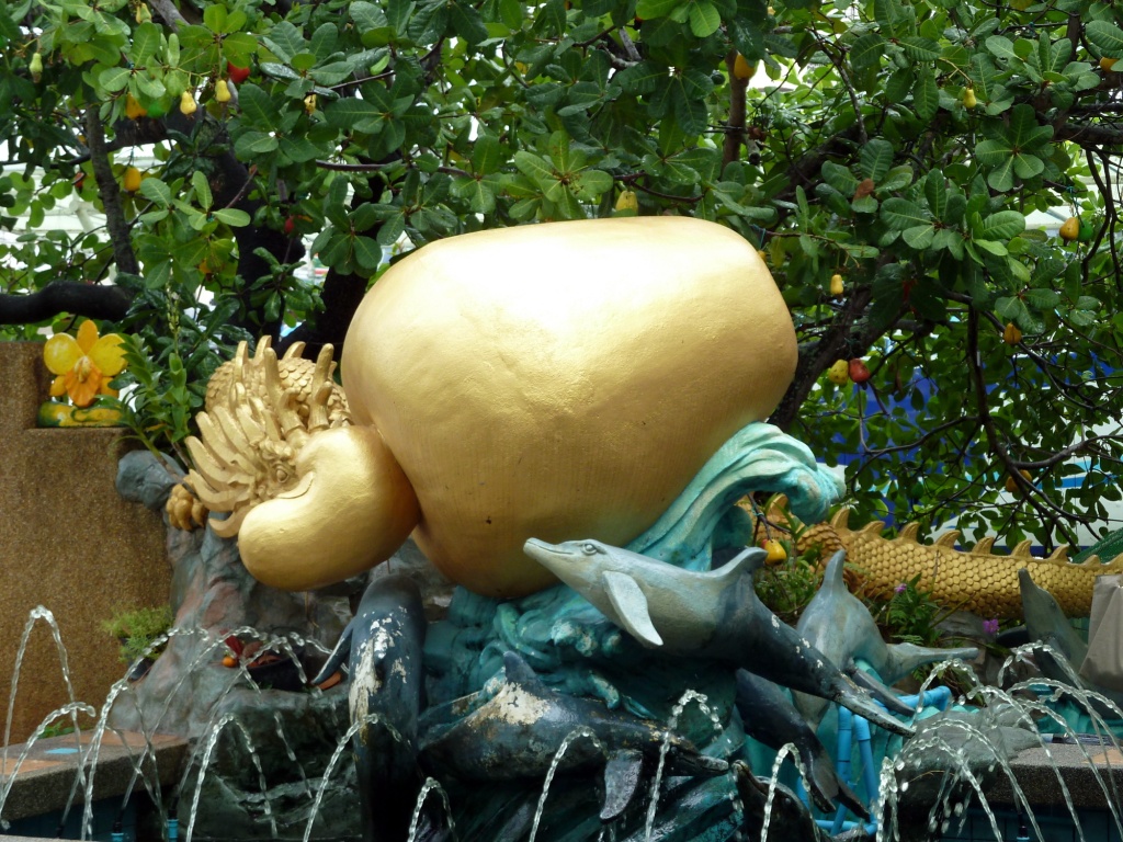 Giant Golden Cashew at Cashew Nut Store