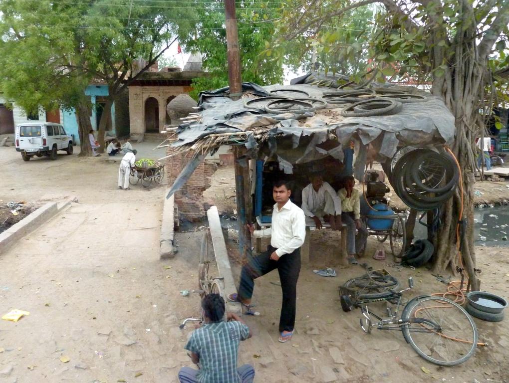 Roadside Bicycle Shop