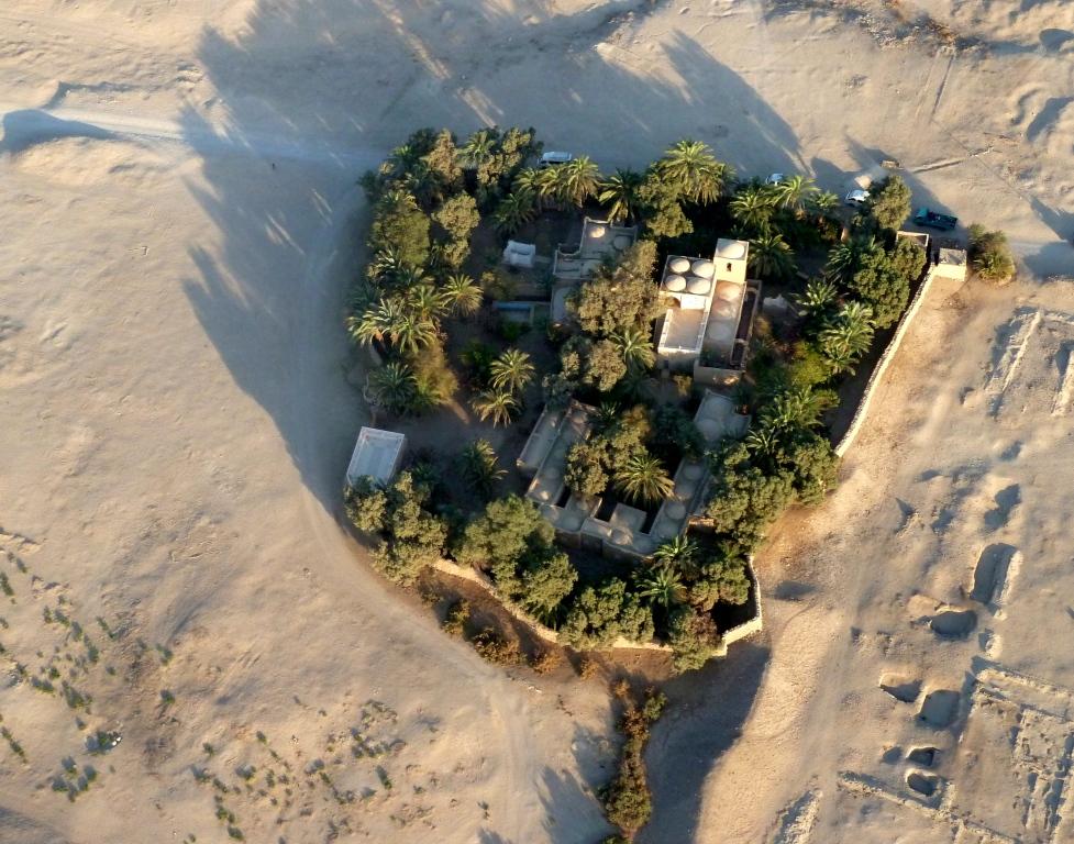 A Desert Oasis Outside Luxor, Egypt