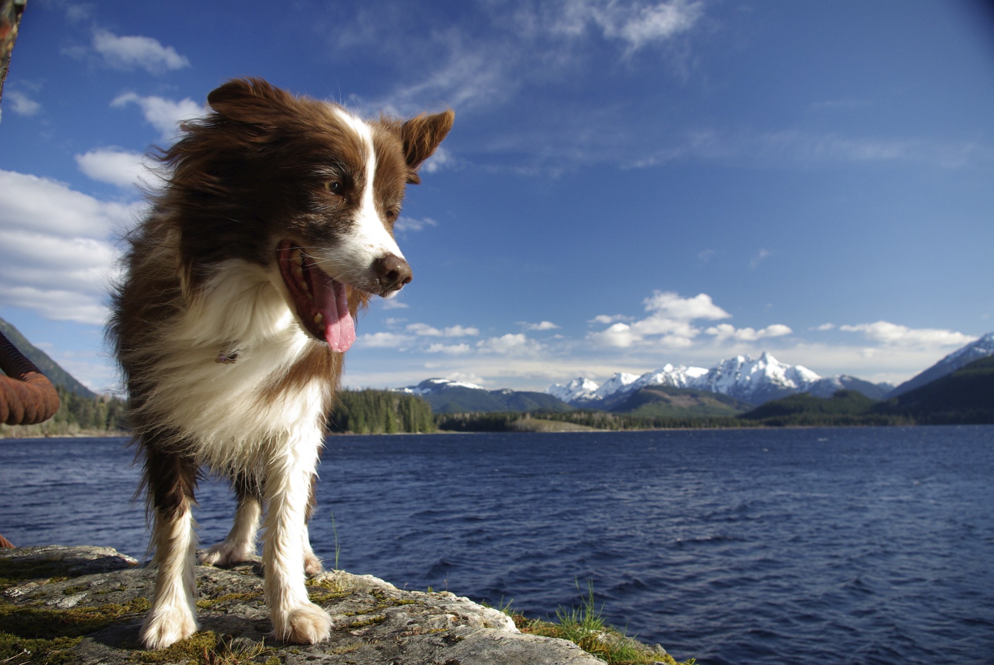 sun on his face in the wind, as happy as me