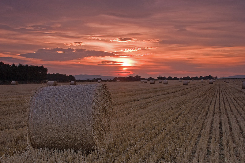 Baile Sunset