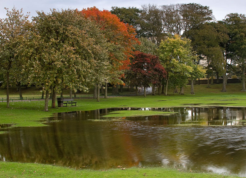 Seaton Park