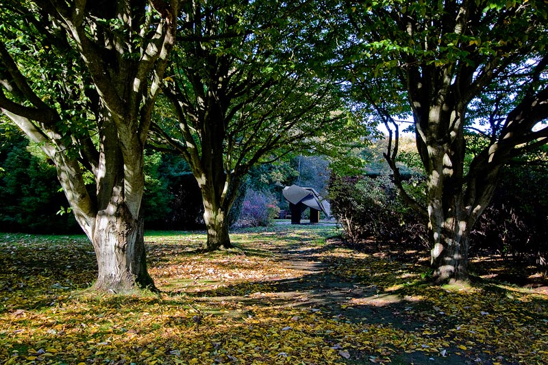 Autumn Sunshine