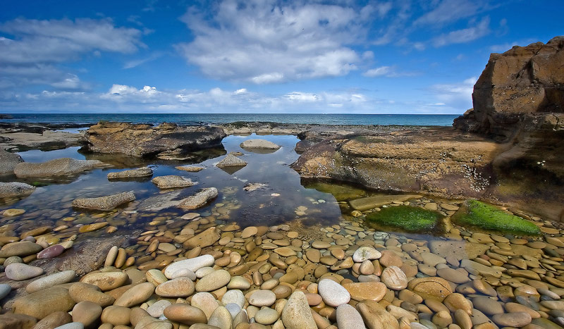 Pebble Beach 6