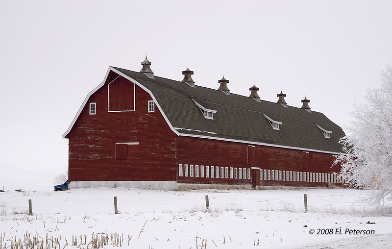 A cold and frosty day, but a barn does offer some relief.