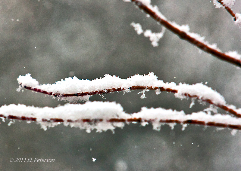 Early spring snow storm.