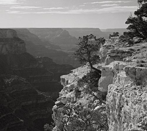Grand Canyon, 2001
