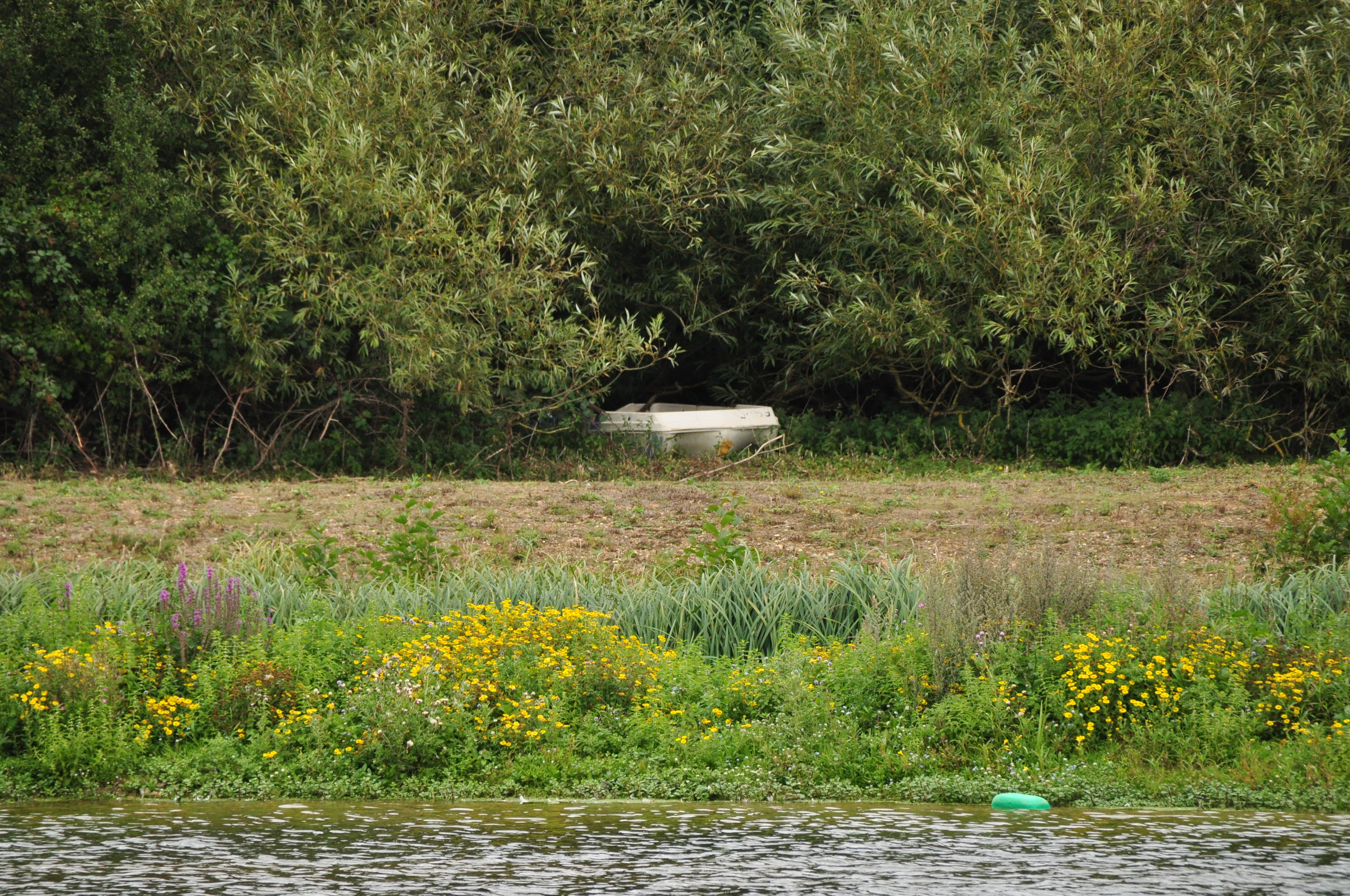 DSC_9495_N-D5k.JPG