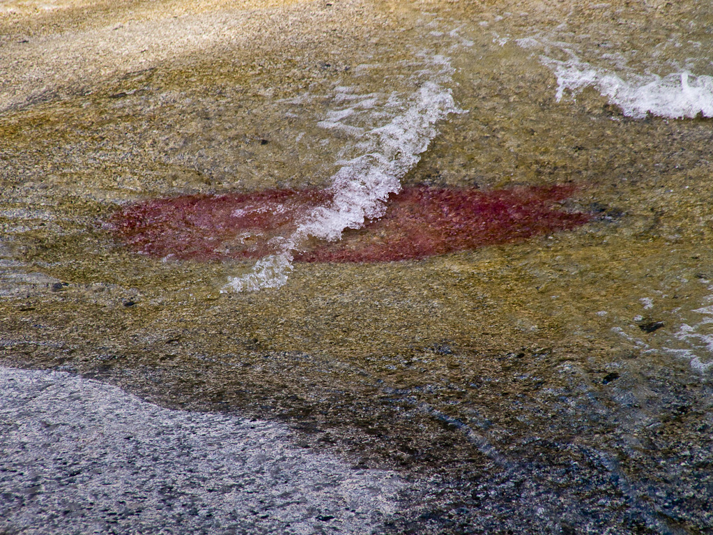 <B>River Abstract</B> <BR><FONT SIZE=2>Yosemite National Park, May 2008</FONT>