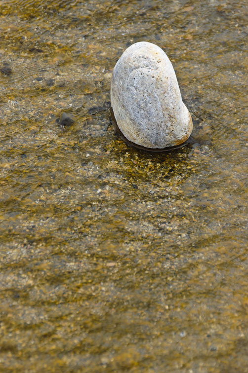 <B>Zen Garden</B> <BR><FONT SIZE=2>Idaho - May, 2010</FONT>