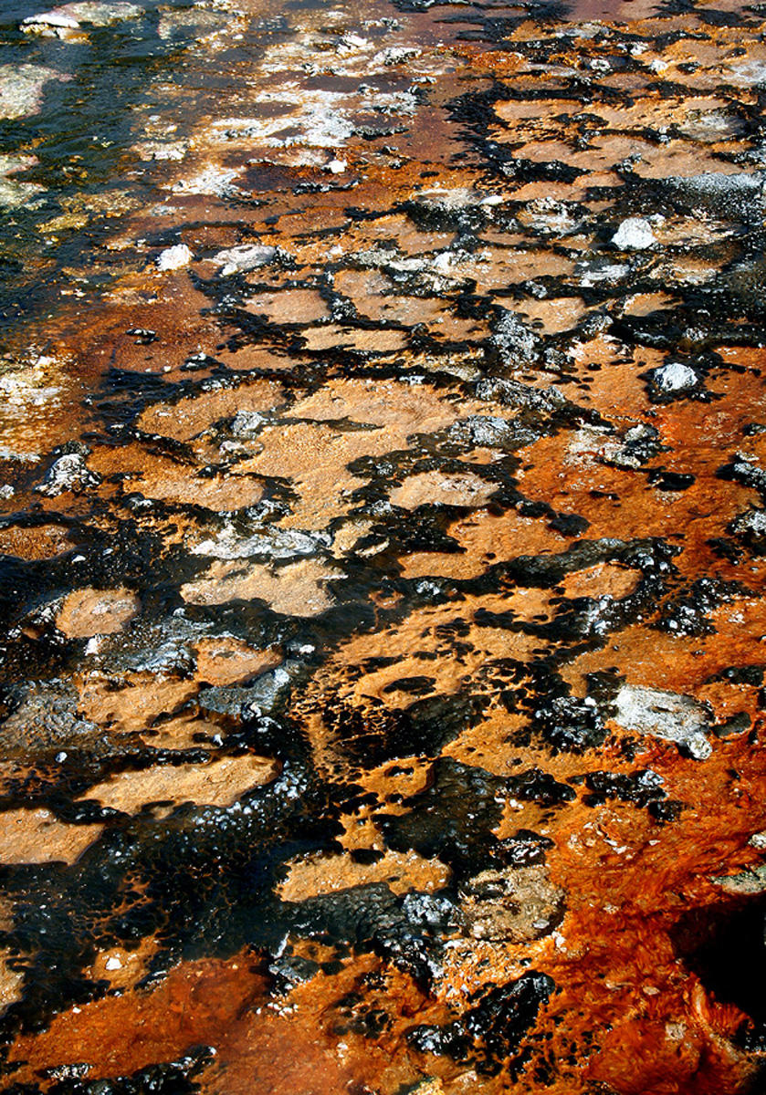 Bacteria Beds - Yellowstone NP