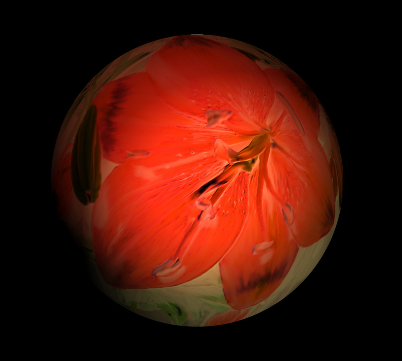 pdpro spherized lily