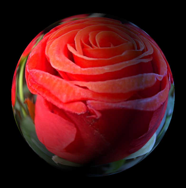 rose sphere.jpg