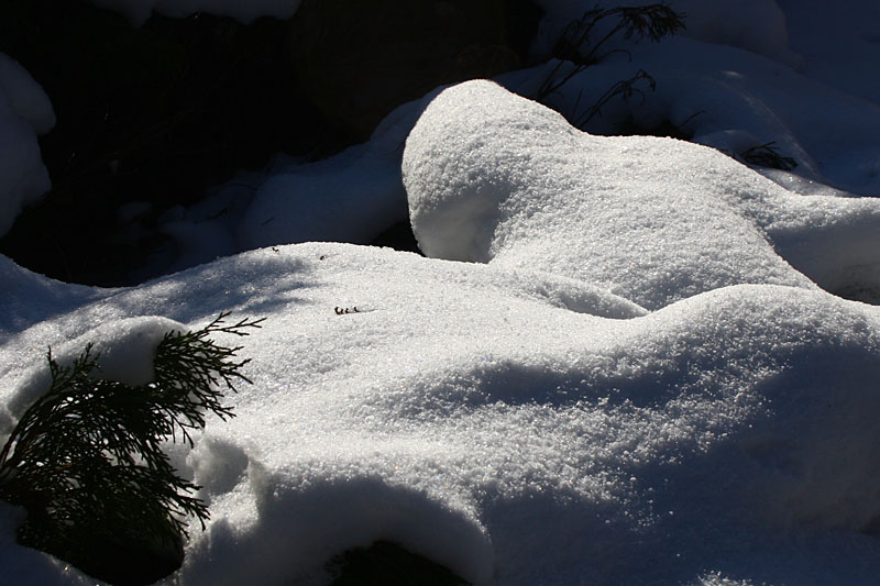 Snowy Dune