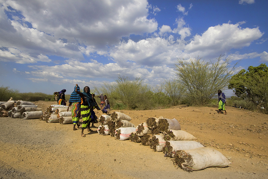 Way from  Yabello to Konso