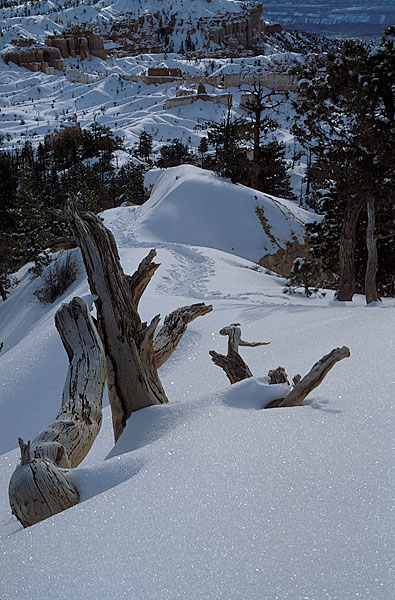 BCNP-Trail.jpg