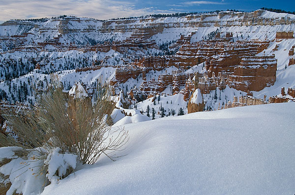 Bryce-Canyon-NP.jpg