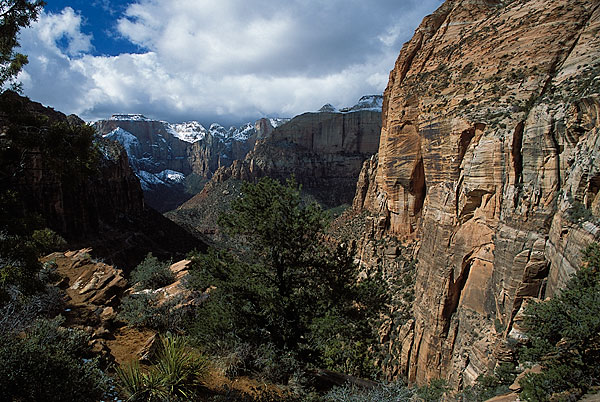 Zion-NP.jpg