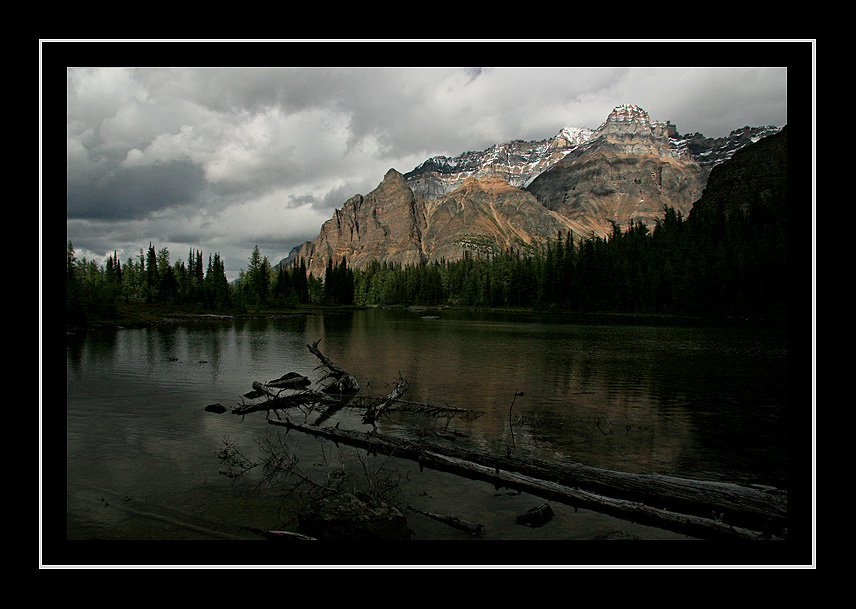 Schaffer Lake