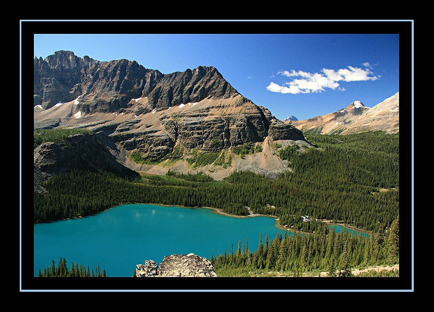View of Lake OHara on the Climb to Wiwaxy Gap