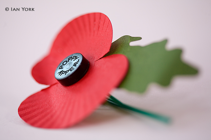 Lest we Forget