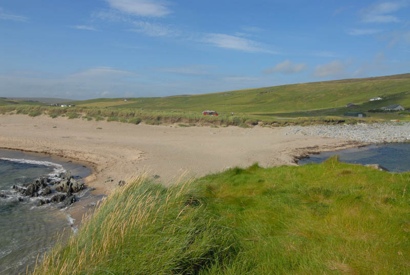 DSC_2518 Norwick Beach life