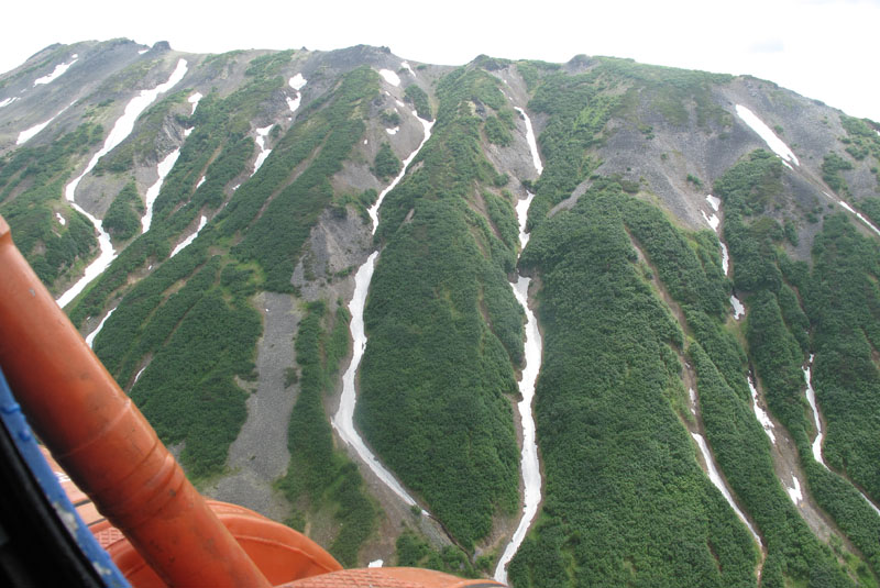 IMG_0407 heli.jpg