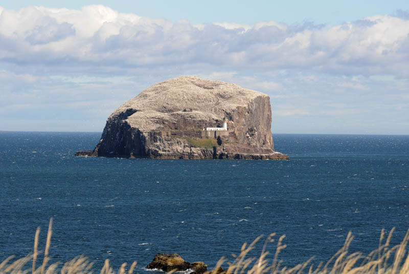 DSC_9902 Bass Rock.jpg