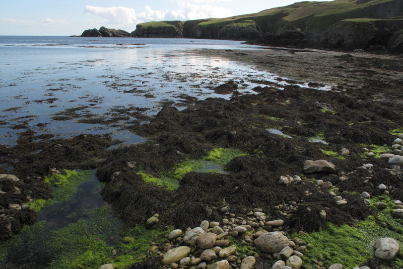 IMG_1147 Funzie Bay at low tide Fetlar.jpg