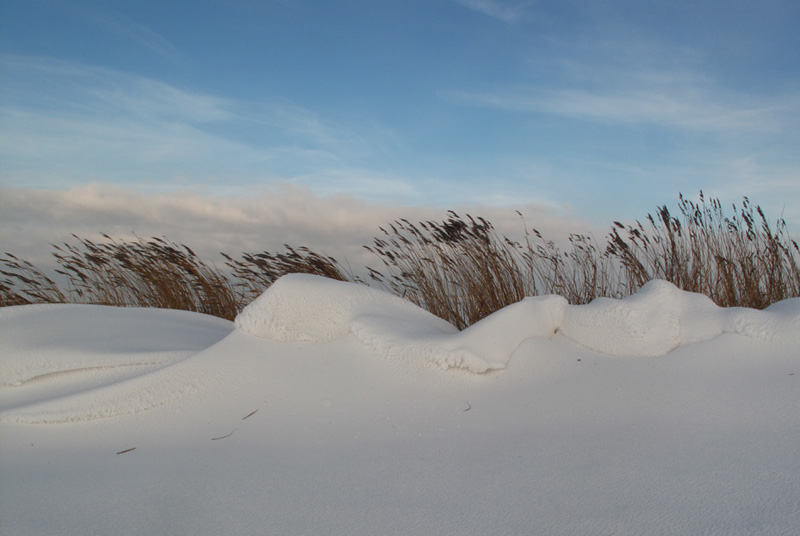 Snow-dunes - sneeuwduinen