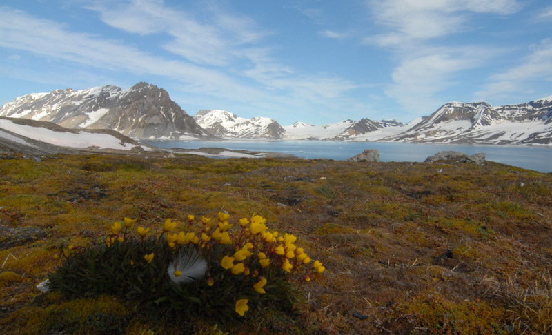Hornsund