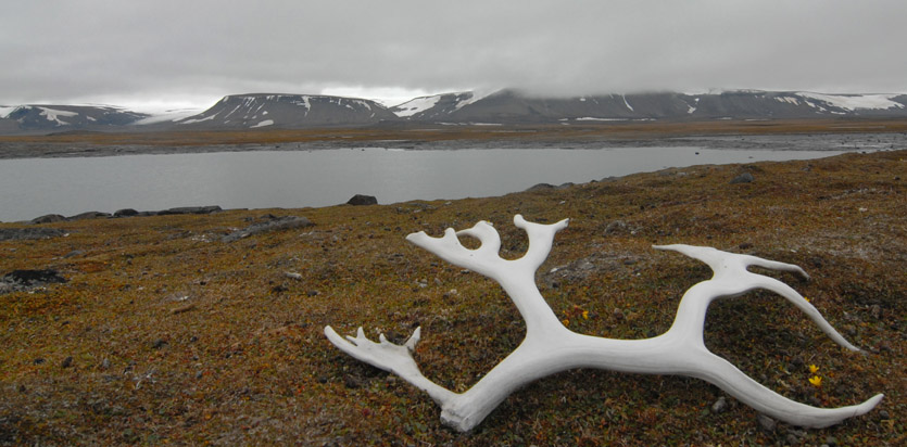 Hornsund