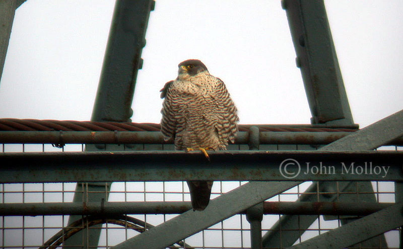 Wednesday 8 October 2008