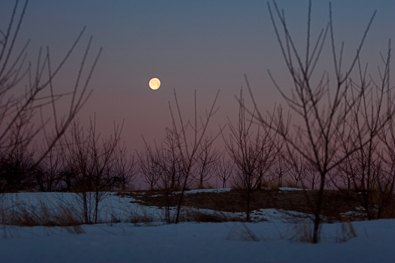 Full Moon at Dawn
