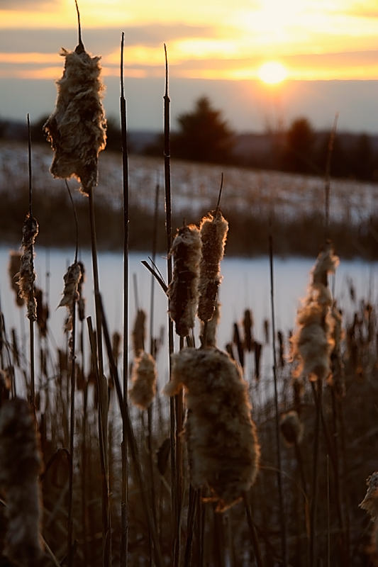 Grand View Sunset