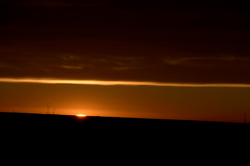 First Light 