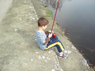 2009 lake waterford