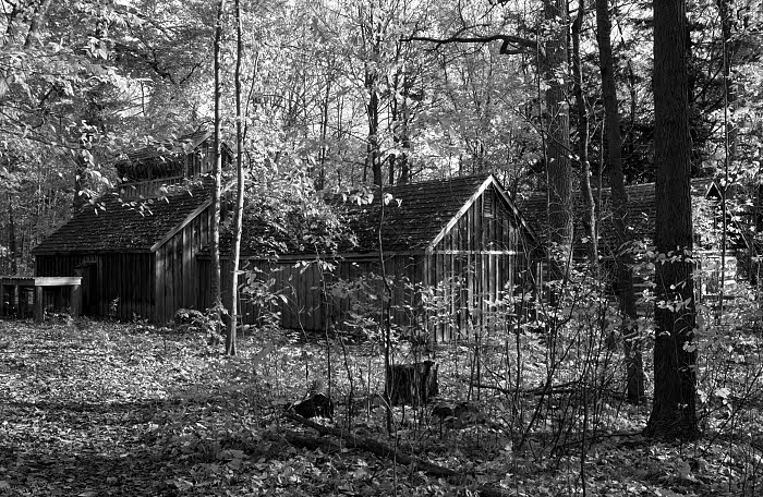 Sugar shack and cabin