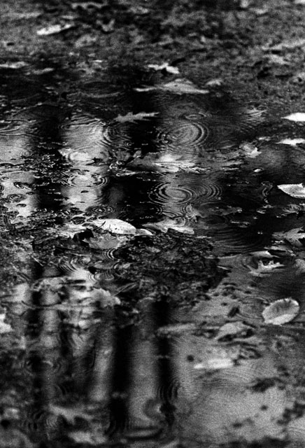 Puddle